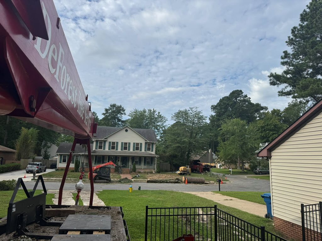 Tree Care services in Chesapeake