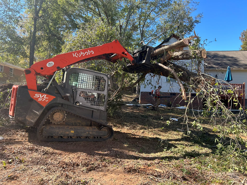 Tree Care services in Norfolk
