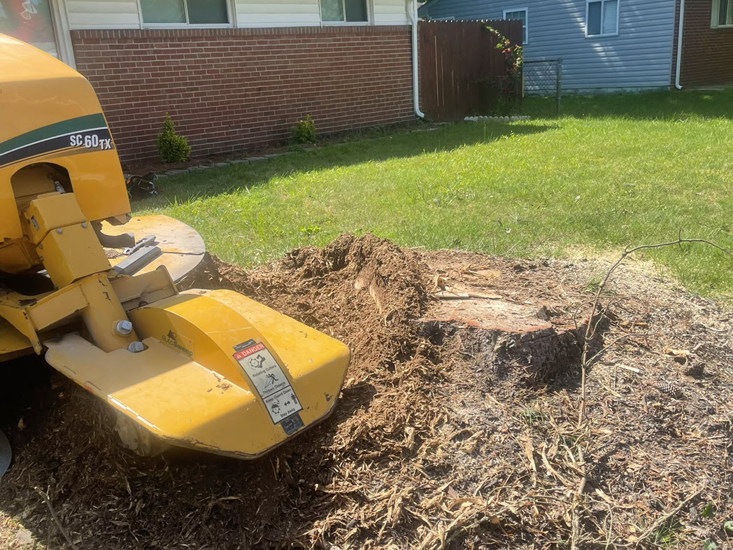 Stump Grinding Service Service